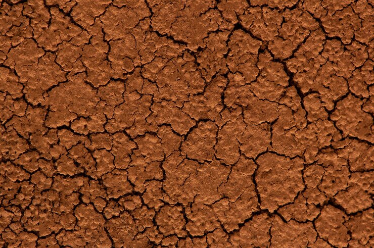 Photo brun séché sol fissuré en gros plan arrière-plan grunge sécheresse