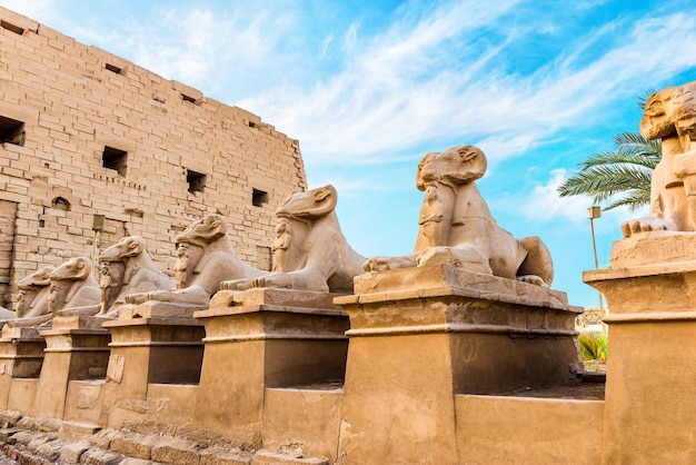 Brut des sphinx dans le temple de Karnak de Louxor au jour d'été, Egypte