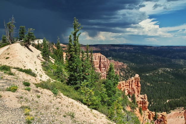 Bryce Canyon dans l'Utah, USA