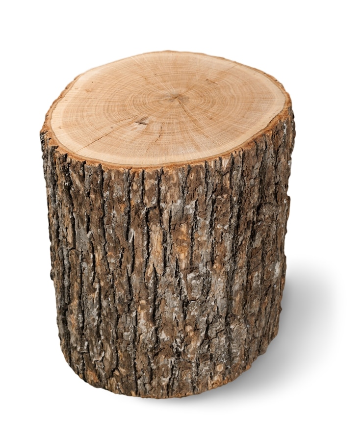 Photo bûche de bois isolé sur fond blanc