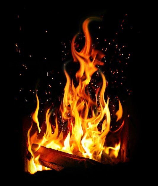 Bûche et feu