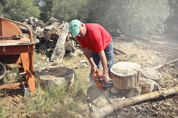 Bûcheron au travail