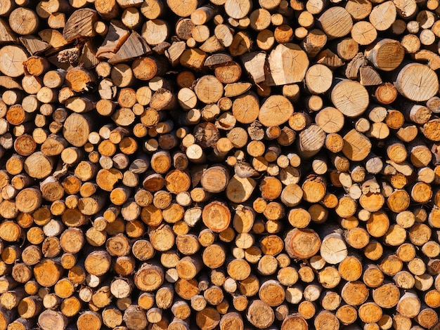 Bûches en arrière-plan Texture de bois naturel