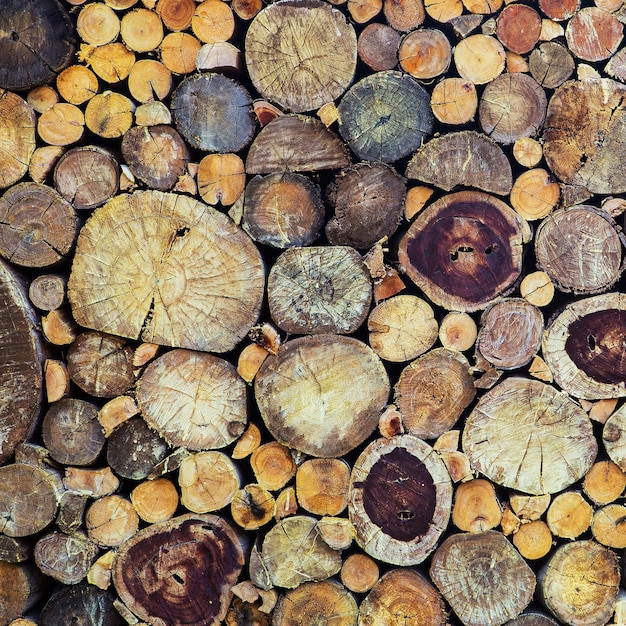 Bûches de bois de chauffage hachées et empilées empilées les unes sur les autres