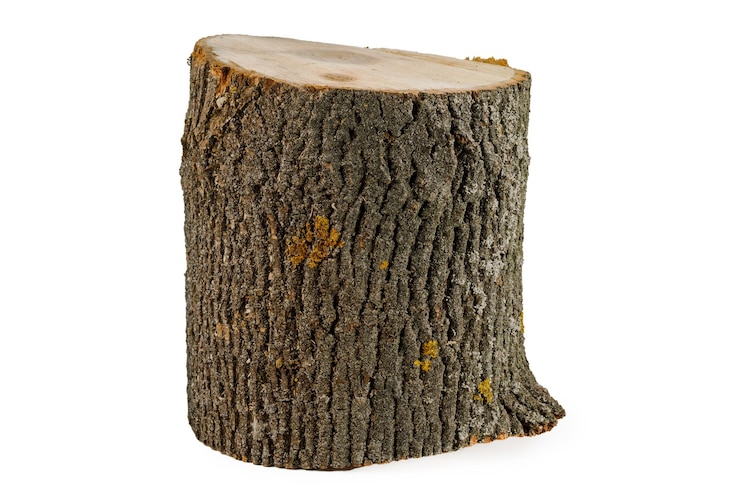 Photo bûches de bois sur fond blanc isolé