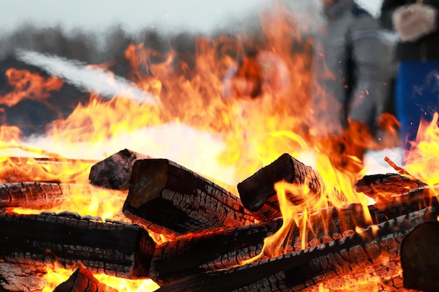 Les bûches de bois sèches brûlent avec une flamme brillante dans le feu