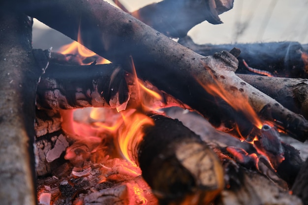 Les bûches et les branches d'arbres se transforment en charbon grâce au feu Fumée et étincelles de feu