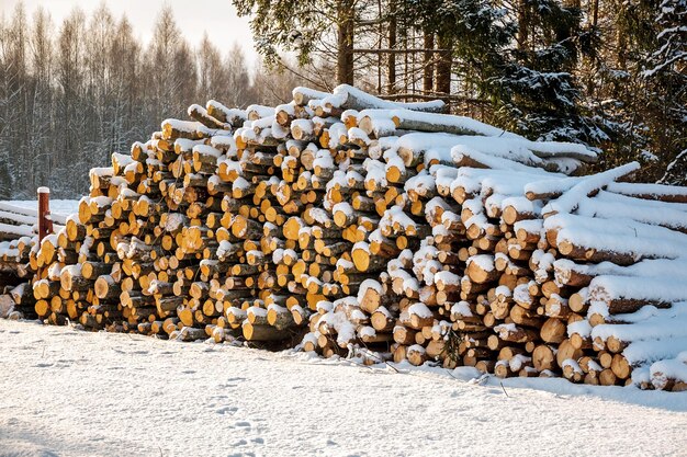 Photo des bûches fraîchement coupées et du bois de chauffage provenant de bûcherons submergés sous une couverture de neige blanche pendant