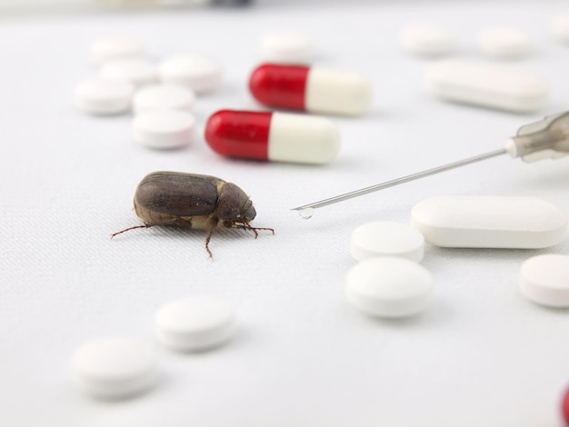 Photo un bug est sur une table à côté de pilules et de pilules.