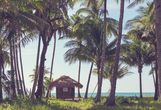 Bugalow tropical dans l'île de Palawan, Philippines