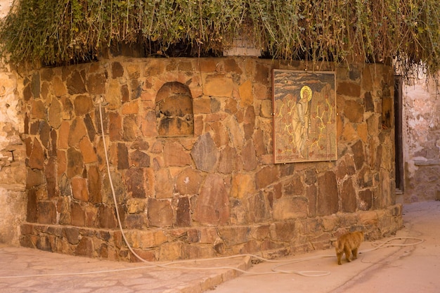 Le buisson ardent de Moïse au monastère Sainte-Catherine en Égypte