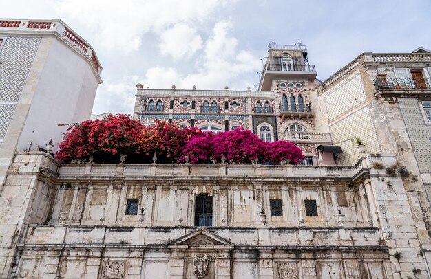 Buisson fleuri sur le balcon du palais Chafariz d' el Rei dans le quartier d'Alfama à Lisbonne