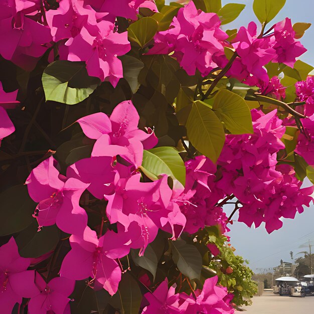 Photo un buisson avec des fleurs roses qui disent le printemps sur lui