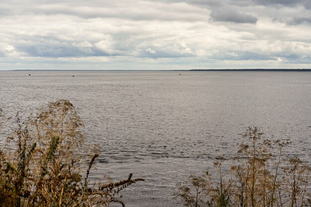 Photo buissons épineux de bardane sur le fond du lac. paysage avec de la bardane