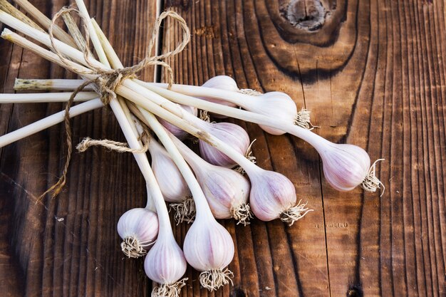 Bulbes d'ail violet fraîchement récoltés séchant sur le bois en été