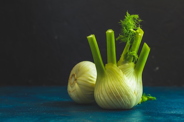 Bulbes de fenouil de Florence ou bulbe de fenouil frais sur du béton bleu foncé