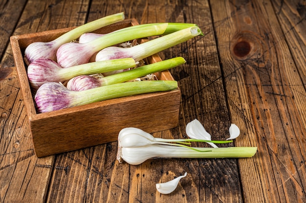 Bulbes et gousses d'ail de printemps cru sur planche de marbre