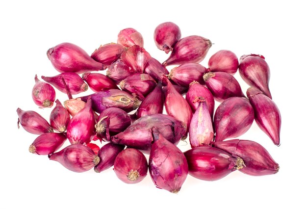 Bulbes d'oignon rouge foncé à planter en terre.