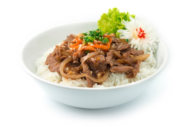 Bulgogi Sauté De Boeuf Aux Oignons Servi Riz