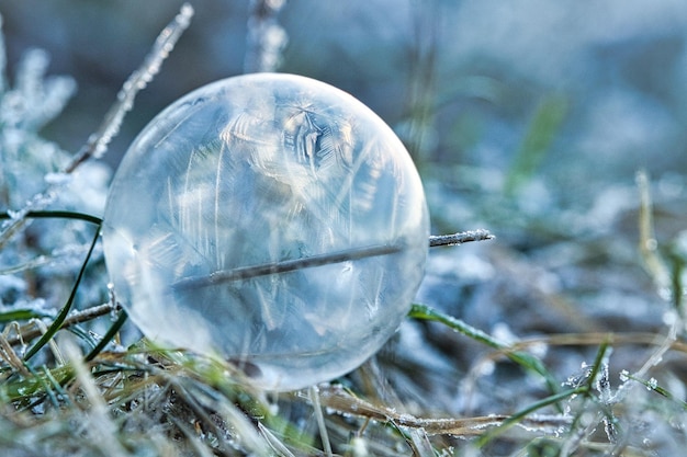 Bulle de savon sur laquelle se sont formés des cristaux de glace à cause du givre à la lumière du soleil couchant