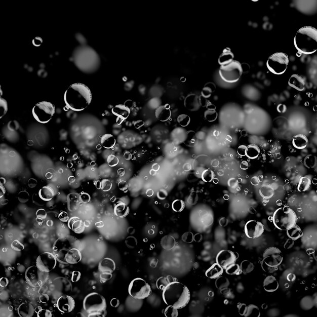 Bulles d'eau blanches isolées sur fond noir