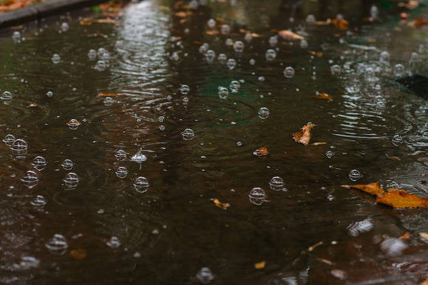 bulles sur une flaque de gouttes de pluie en été