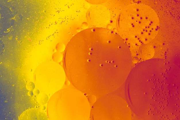 Bulles d'huile à l'intérieur des modèles de forme de base d'eau