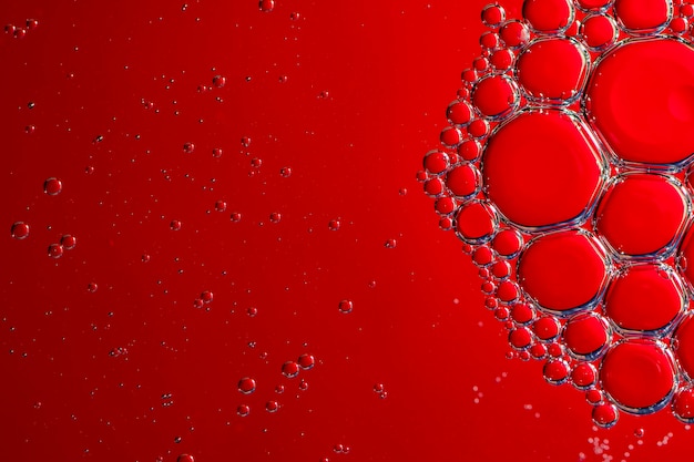 Photo bulles rouges. bulles d'huile. photo macro. abstrait. fond rouge.