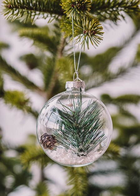 Bulles de verre suspendues aux arbres