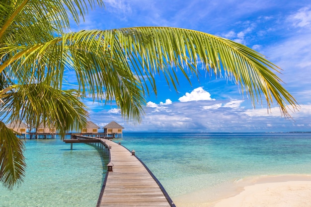 Bungalows sur l'eau sur une île tropicale aux Maldives