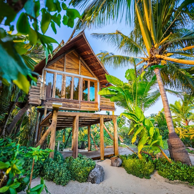 Photo bungalows de hutte de bambou sur la plage en thaïlande hébergement simple pour randonneurs en thaîlande sur la plague dans un jardin