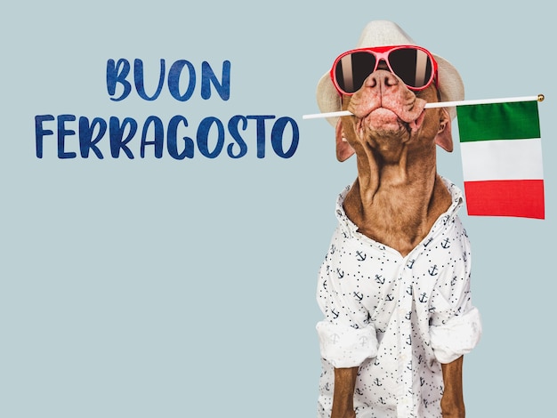 Photo buon ferragosto chien mignon et drapeau italien