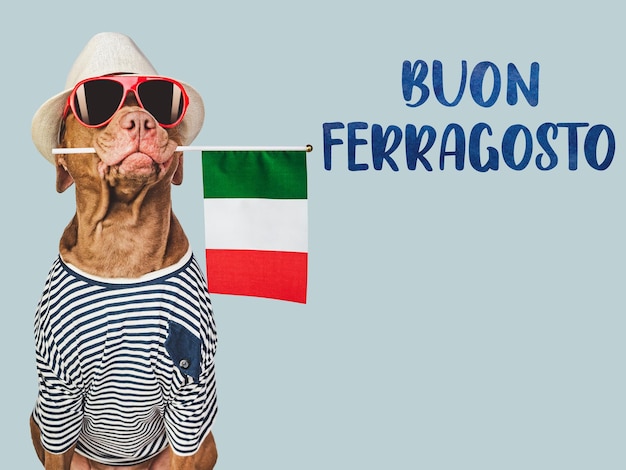 Photo buon ferragosto chien mignon et drapeau italien