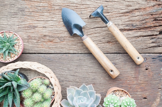 Bureau de jardinage plat créatif avec Succulent et Cactus