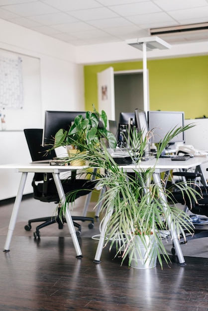 Bureau moderne avec des plantes en pot