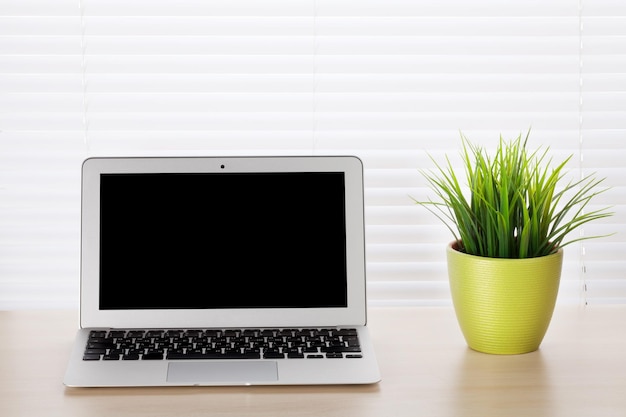 Bureau avec ordinateur portable et plante