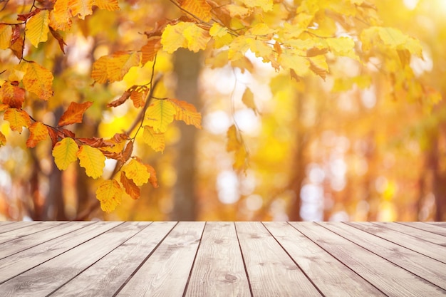 Bureau de table et espace vide de fond d'automne pour l'affichage de votre produit