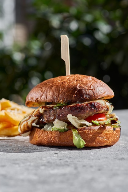 Burger au fromage avec la lumière du soleil sur la pierre