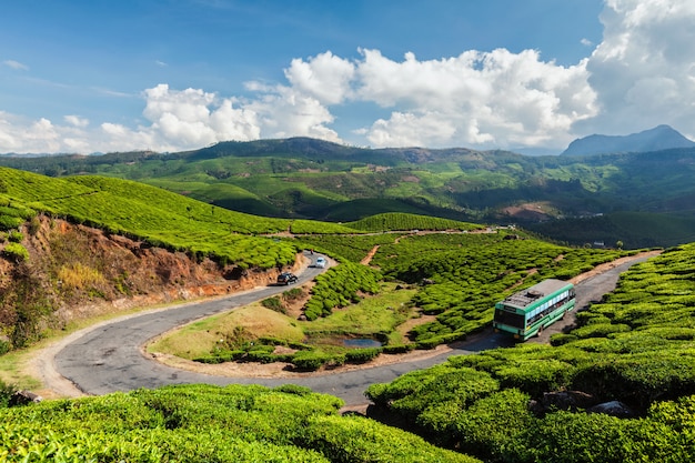 Bus de voyageurs sur route dans les plantations de thé, Inde