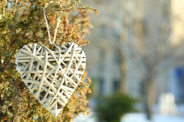 Bush avec décoration coeur sur fond de nature d'hiver