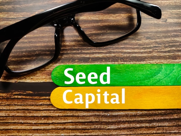 Business conceptText Seed Capital écrit sur des bâtonnets de crème glacée de couleur avec des lunettes sur fond de bois