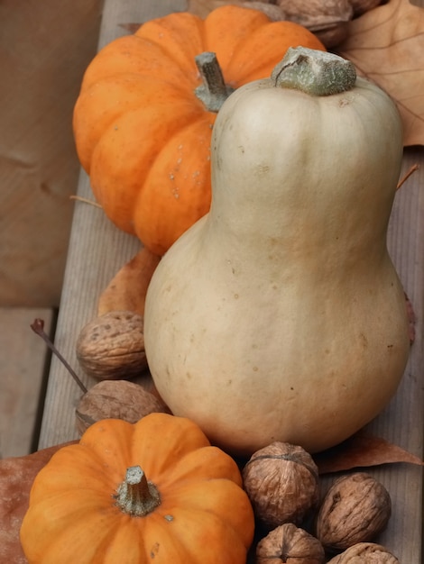 Butternut et Jack être petits sur une planche avec des noix