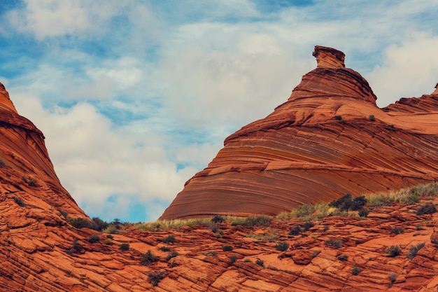 Buttes Coyotes