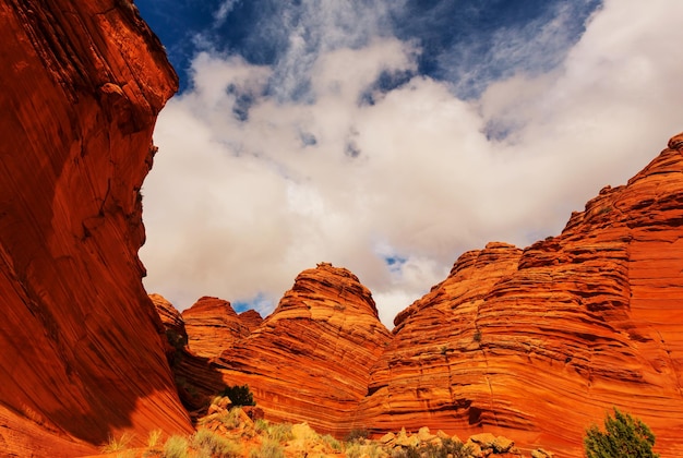 Buttes Coyotes