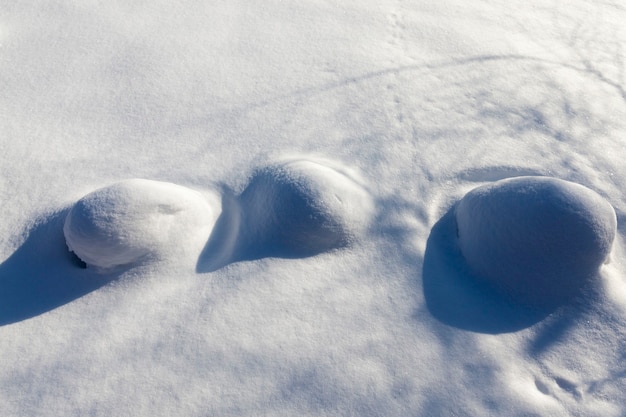 Buttes dans le marais grandes dérives après les chutes de neige et les blizzards, saison hivernale avec beaucoup de précipitations sous forme de neige, la neige recouvre les buttes dans le marais