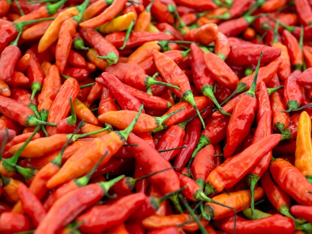 Photo cabai rawit capsicum frutescens un piment sauvage pour la cuisson fond naturel