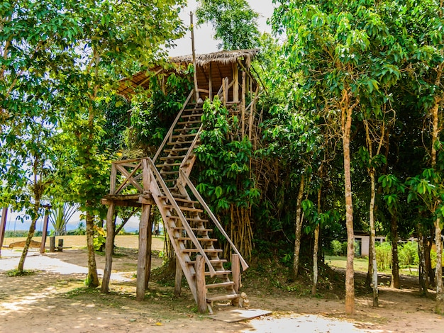 Cabane en bois sur bambou pour voir animal et vue sur la falaise de Kebtawan