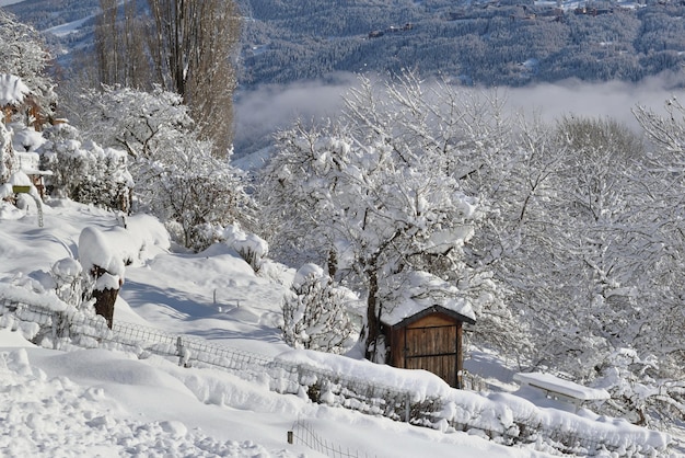 Cabane en bois dans un jardin alpin recouvert de neige fraîche dans un paysage de montagne