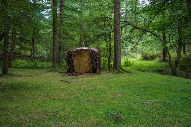 Cabane en bois de forêt. Scène Evergreen au Pays Basque