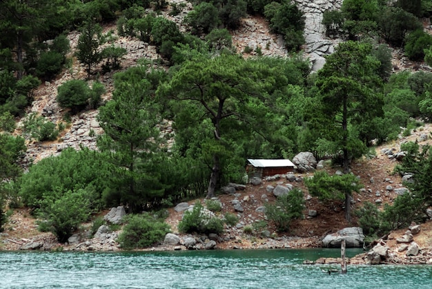 Cabane en bois sur le lac en été à la campagne